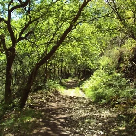 Valle Del Nonaya Hostel Salas (Asturias)