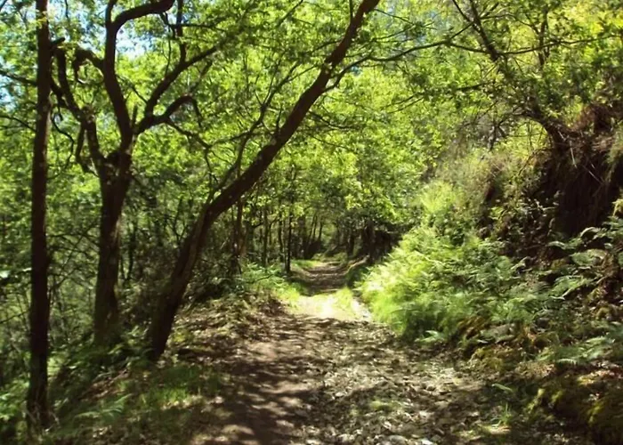 Valle Del Nonaya Auberge de jeunesse Salas (Asturias)